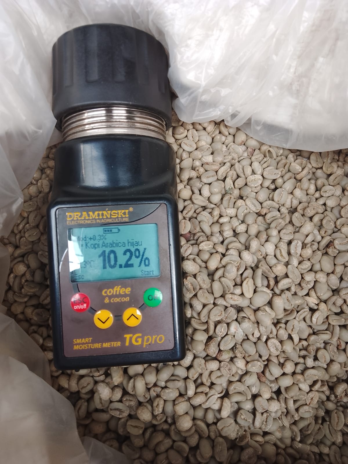 Indonesian Arabica Green Coffee Beans
