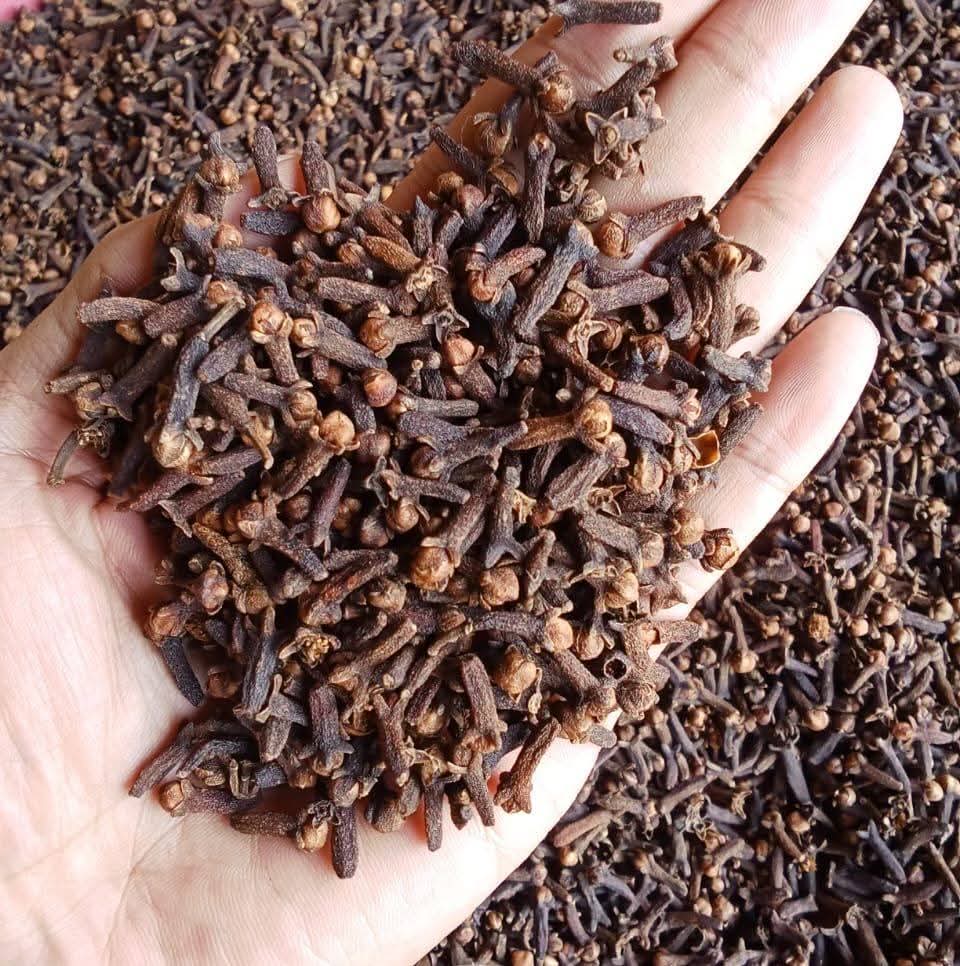 Indonesian Whole Dried Cloves